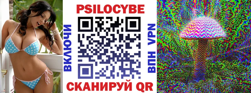 Псилоцибиновые грибы Cubensis  Каменск-Шахтинский 